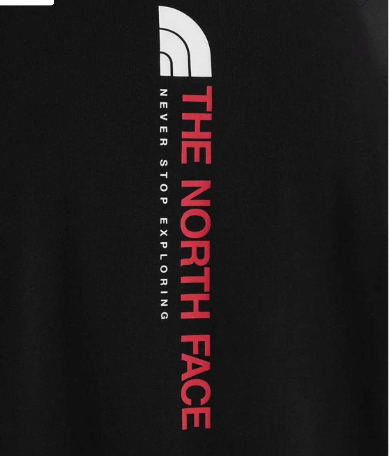 THE NORTH FACE M VERTICAL REGULAR UOMO