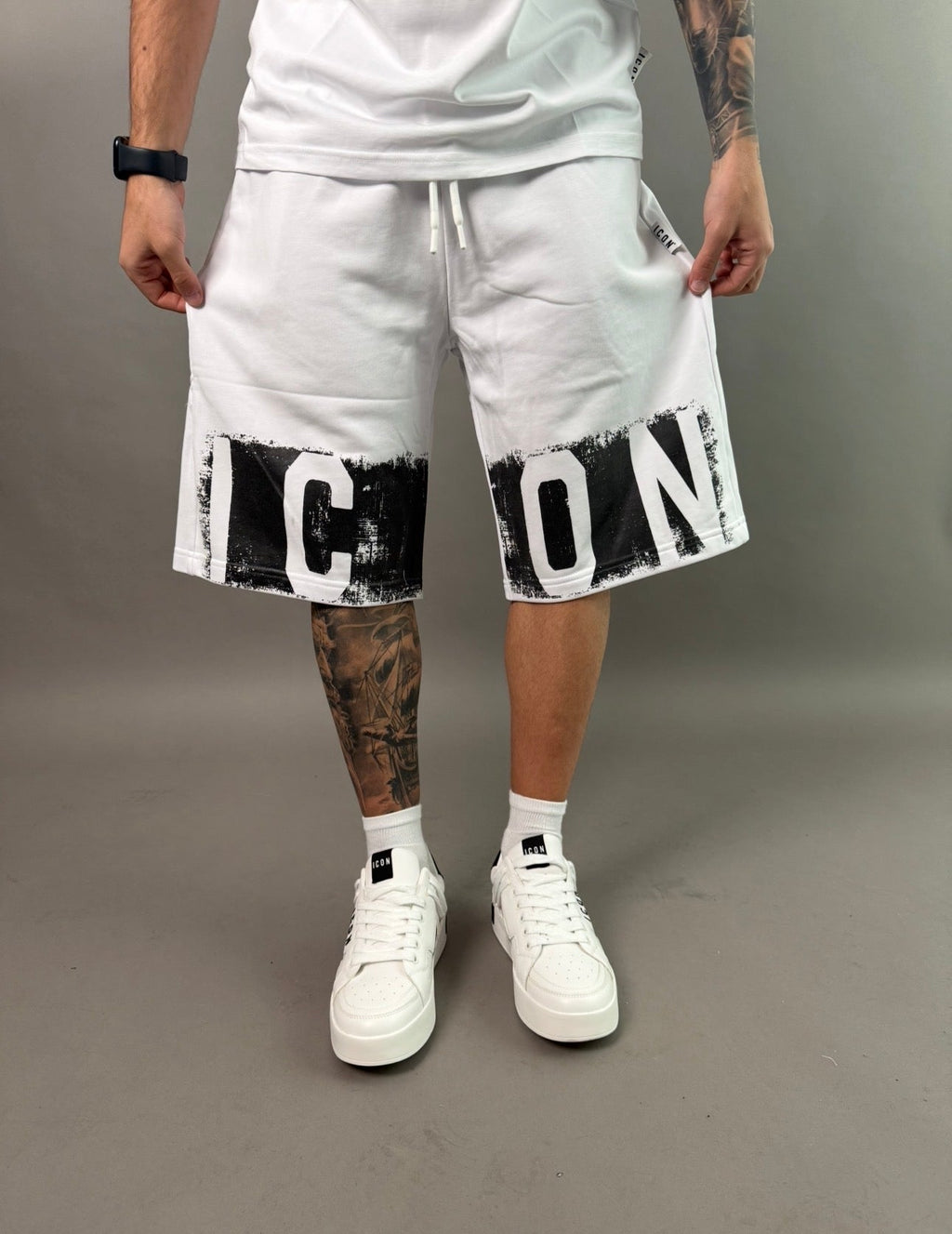 icon bermuda logo effetto pittura